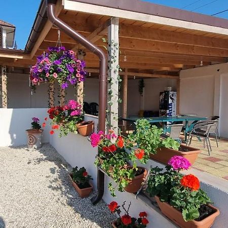 Soliday Apartment Vama Veche Exterior photo