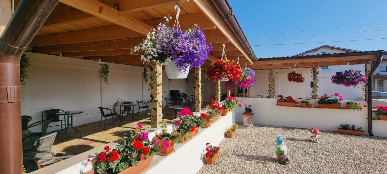 Soliday Apartment Vama Veche Exterior photo